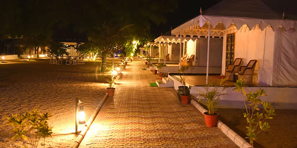 Who Should Book This Jaipur to Jawai Tour Package